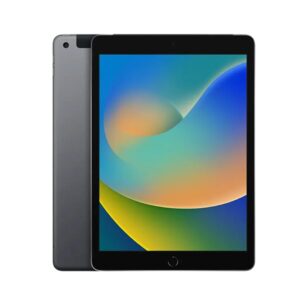 APPLE iPad 9th 10.2 inch 256GB Wi-Fi + Cellular Space Grey A2604 Excellent Grade+free kids case